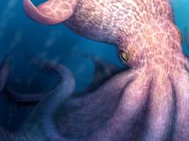 biologie: monster der ozeane