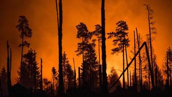 Warnungen vor extremen Waldbränden – „Saison hat sehr früh begonnen“