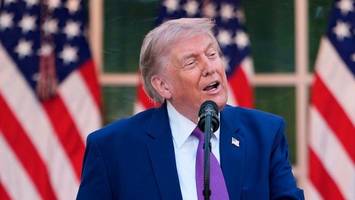 Trump vor China-Reise: Warum US-Experten ihn als „humpelnden Riesen“ sehen