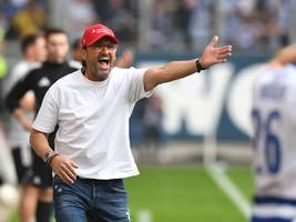 Energie Cottbus in der dritten Liga: Alle Rahmenbedingungen schlecht, aber der Aufstieg ganz nah