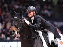 Neue Reitsport-Studie: Welche Eigenschaften hat die ideale Reiterin?