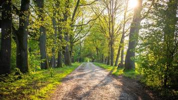 diese wanderwege in der lüneburger heide sollten sie kennen – 10 tipps