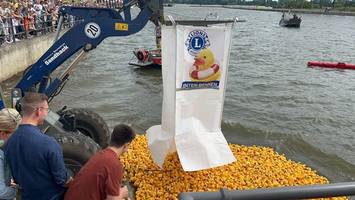 mitfiebern und gutes tun beim hafenfest in wedel: ente für fünf euro erwerben