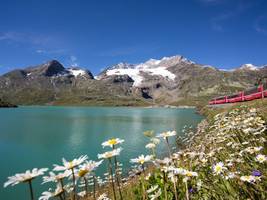 schweiz: wer braucht da schon kanada?