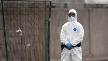 Hantavirus & Coronapandemie: Top-Virologe erklärt den entscheidenden Unterschied