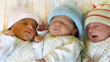 gefährliche kindertragen im test: hamburger behörde sieht ernstes risiko für babys
