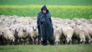Wetter: Regen, Wind und Frost - wo es Schneeflocken geben könnte