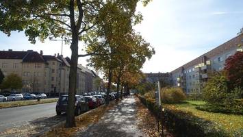 Bäume sind kein lästiges Detail, sondern eine lebensnotwendige Leidenschaft