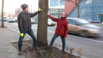 Bürgerinitiative kämpft für Bäume in der Ollenhauerstraße – Mahnwache geplant