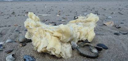 Nordsee: Paraffinklumpen an Stränden von Norderney, Borkum und Juist entdeckt