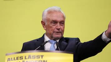 neuer fdp-chef: höne zieht zurück, kubicki einziger kandidat