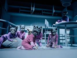 theater: das glück ist ein haustier