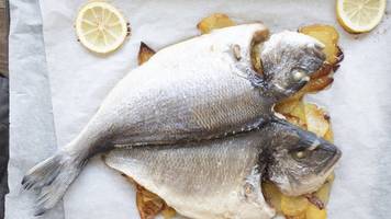 Gefrorenen Fisch zubereiten ohne auftauen: Anleitung