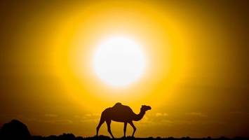 Rätselhafte Steinkreise in der Sahara bringen Forscher auf neue Theorie