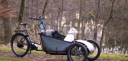 Dreiräder boomen auf dem Fahrradmarkt: Was neue Modelle können