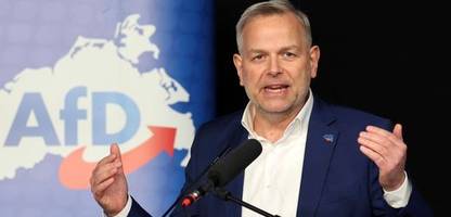 afd in mecklenburg-vorpommern: bei wahlsieg remigration und rückführungspolizei geplant