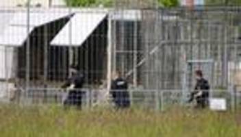 Private Haltung mit Risiko: Peta fordert nach Tiger-Ausbruch Konsequenzen