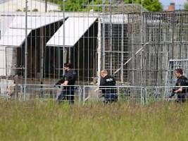 Polizei erschießt Tier : Tiger greift Mann an und entkommt nahe Leipzig