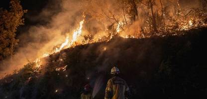 Klimawandel: WHO soll »internationalen Gesundheitsnotstand« ausrufen
