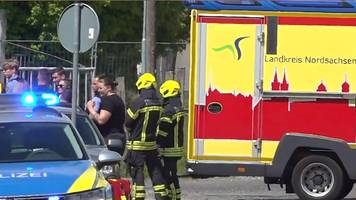 Tiger von „Tigerkönigin” ausgebrochen, eine Person verletzt