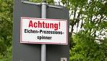 Eichenprozessionsspinner: Gesundheitsgefahr in Eichen - Insektizid aus Hubschrauber