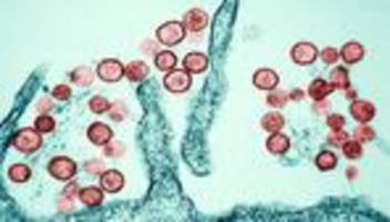 hantavirus: person in us-bundesstaat colorado stirbt nach hantavirus-infektion