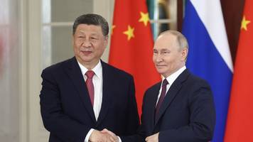 politikexperte sicher: putin wird mit xi über nato-angriff sprechen