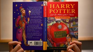 Katrina entgehen fast Tausende Euro für ihr Harry-Potter-Buch: „Hatte wirklich vergessen, dass es existierte”