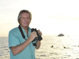 meeresschutz: „in der ostsee, wo timmy strandete, sterben täglich schweinswale – und kein mensch schert sich drum“