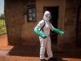 Notstand ausgerufen: Ebola-Todesfälle nehmen rasant zu - WHO besorgt
