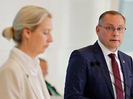 RTL/ntv-Trendbarometer: AfD erreicht neuen Höchstwert