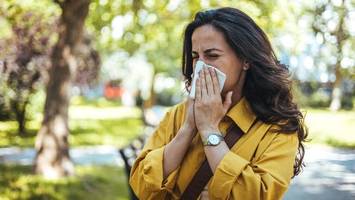 Allergie-Symptome trotz Therapie? Allergologe sagt, was Sie nun tun sollten