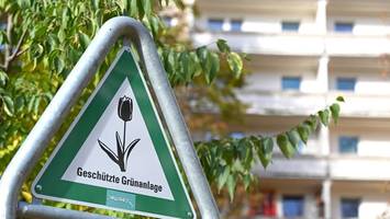 Berliner Baum-Initiative: „Müssen die ersten sechs Monate als Fehlstart bewerten“