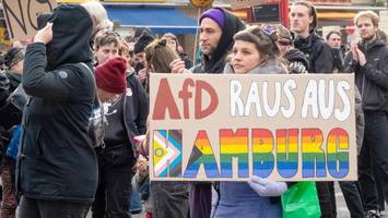 Demo für AfD-Verbot in Hamburg: „Müssen handeln, bevor es zu spät ist“