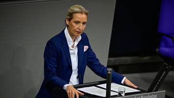 focus briefing: vier gründe, warum die afd für mich unwählbar ist