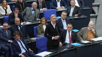 Mit Akademie-Netzwerk bereitet AfD die Machtübernahme vor