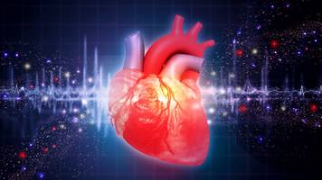 Idealer Omega-3-Index beugt Herzinfarkt und Schlaganfall vor