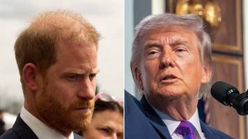 Experten sind sicher: Prinz Harry schießt im neuen Netflix-Film gegen Donald Trump