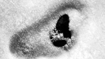 Gibt es den Yeti wirklich? Fakten zum Schneemenschen