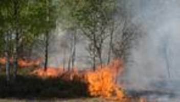 Trockenheit: Waldbrandgefahr in Brandenburg nimmt wieder zu