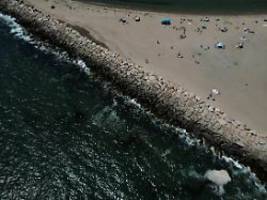 Hunderte versuchten zu fliehen: Messerstecherei führt zu Massenpanik an US-Strand