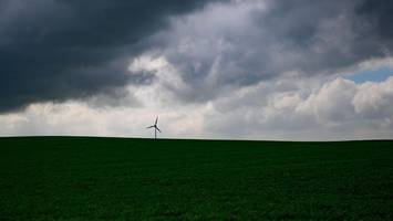 Grau, nass – aber warm! Frühling kämpft sich durch Berliner Wolkendecke