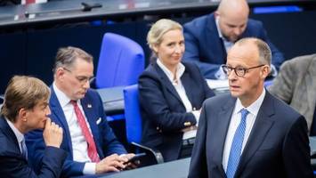 Umfrage-Schocks für Merz: Kann die Union die AfD überhaupt noch einholen?