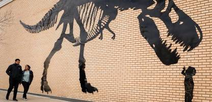 Tyrannosaurus: Warum fleischfressende Dinos so kleine Arme hatten