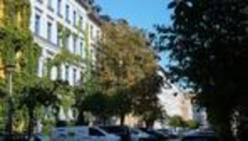 Klimawandel: Berlin muss schneller Straßenbäume pflanzen
