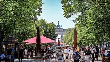 Mehr Bäume für Berlin: Wie es gelingen soll, beim Pflanzen schneller zu werden