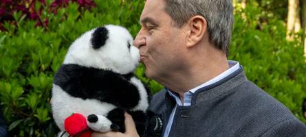 Söder im Schock: „China bedrängt uns auf allen Exportmärkten“