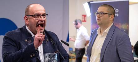 „rechtlich wie moralisch abzulehnen“: afd-spitze distanziert sich wegen gewalt gegen frauen von jurca