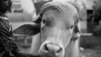 Donald Trump: Trump hat Beef