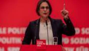 ehrentag der verfassung: spd fordert zum grundgesetz-tag erneut afd-verbot